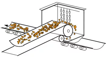 fig5-alimentacao-correia